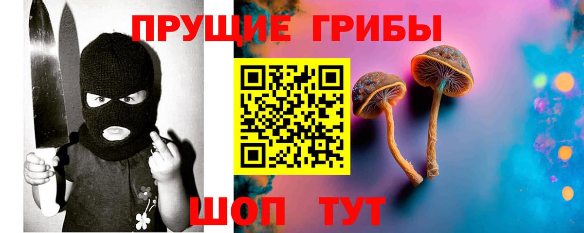 Туапсе  цена   Псилоцибиновые грибы GOLDEN TEACHER  Вход с VPN  Галлюциногенные грибы Psilocybe 